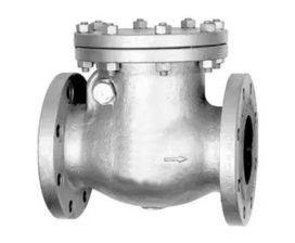 Check Valve Manufacturer in India